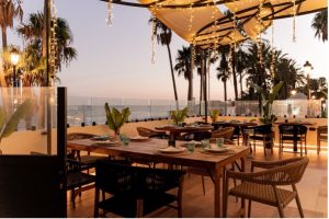 arroces pescado y marisco